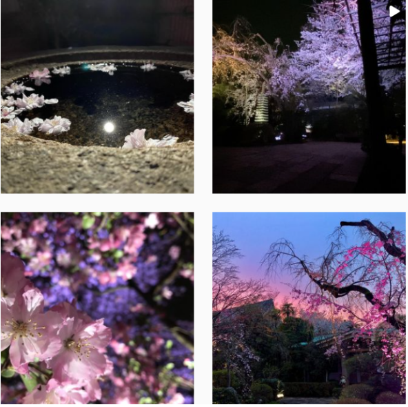 龍雲寺インスタ